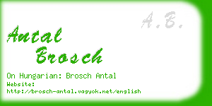 antal brosch business card